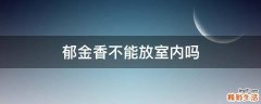 郁金香不能放室内吗