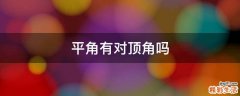 平角有对顶角吗