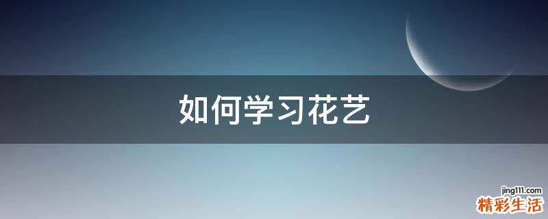 如何学习花艺