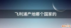 飞利浦产地哪个国家的