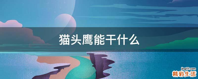 猫头鹰能干什么