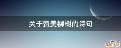 关于赞美柳树的诗句