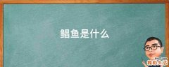 鲳鱼是什么