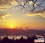 胎记的形成原因是什么