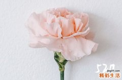 网络情人节520要发红包吗
