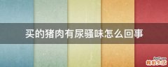 买的猪肉有尿骚味怎么回事