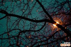 子宫切除后如何保养