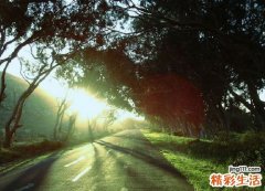 孩子固执不听话家长怎么办