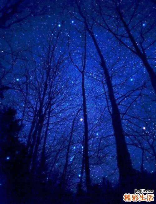 孕妇牙龈肿痛吃什么