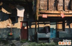 中华武术：五行拳的练习与运用