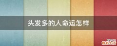 头发多的人命运怎样