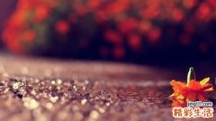 男性备孕吃什么保健品