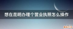 想在昆明办理个营业执照怎么操作