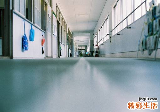 海蜇的功效与作用_海蜇的药用价值