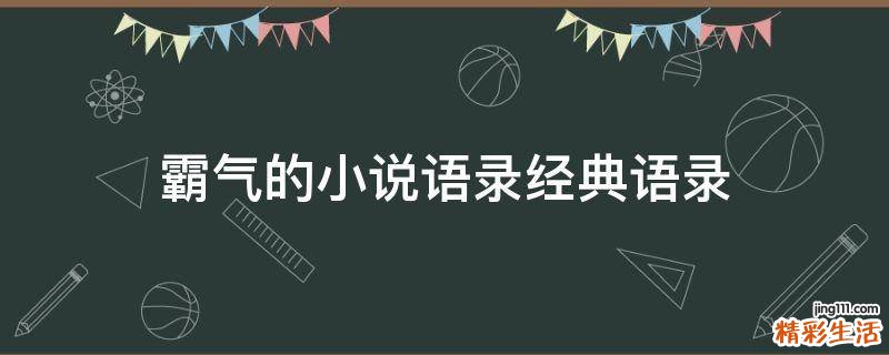 霸气的小说语录经典语录