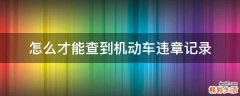 怎么才能查到机动车违章记录