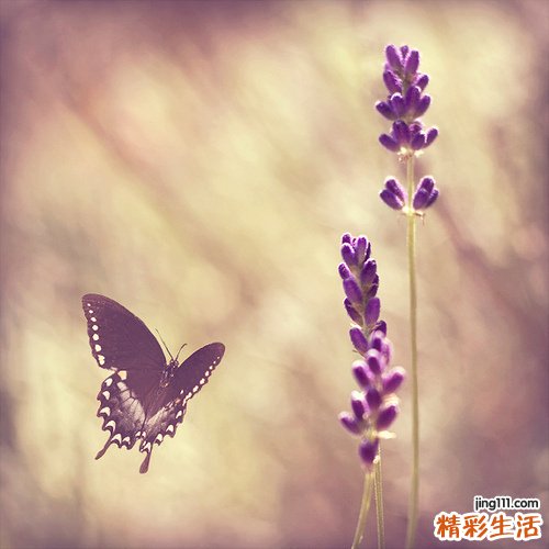 光照胎教宝宝什么反应