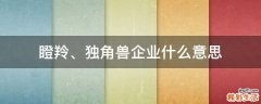 瞪羚、独角兽企业什么意思