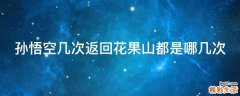 孙悟空几次返回花果山都是哪几次