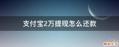 支付宝2万提现怎么还款
