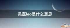 吴磊leo是什么意思
