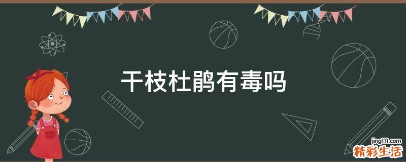 干枝杜鹃有毒吗