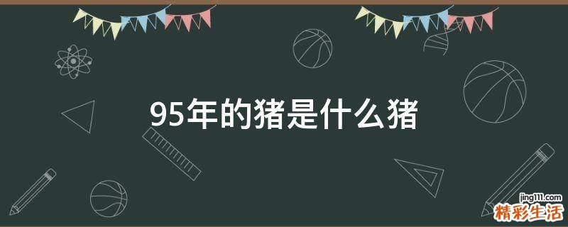 95年的猪是什么猪