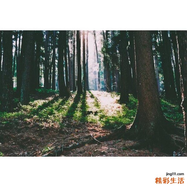 无菌性前列腺炎怎么治疗