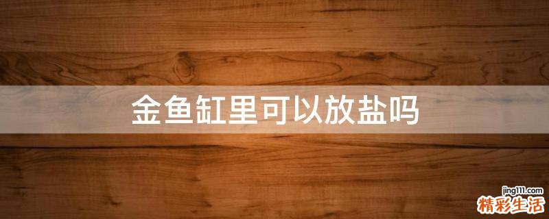 金鱼缸里可以放盐吗