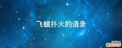 飞蛾扑火的语录
