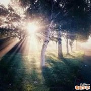 武术养生 呼吸为重