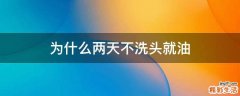 为什么两天不洗头就油