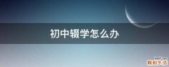 初中辍学怎么办
