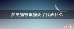 梦见猫被车撞死了代表什么
