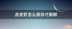 皮皮虾怎么保存才新鲜