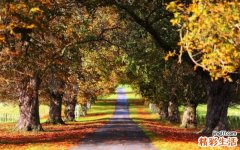 白领女一定要防止卵巢过早衰老