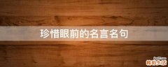珍惜眼前的名言名句