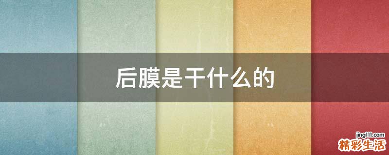 后膜是干什么的