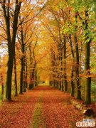 武术养生：习武前的陋习不可取