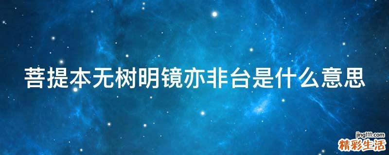 菩提本无树明镜亦非台是什么意思