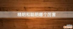 精明和聪明哪个厉害