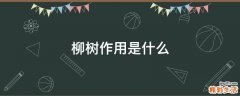 柳树作用是什么