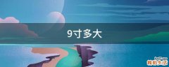 9寸多大