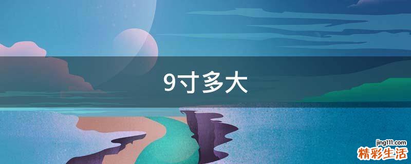 9寸多大
