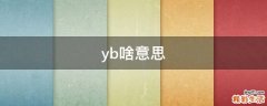 yb啥意思