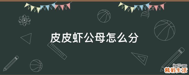 皮皮虾公母怎么分