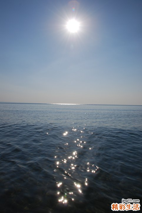 怎么做标准俯卧撑