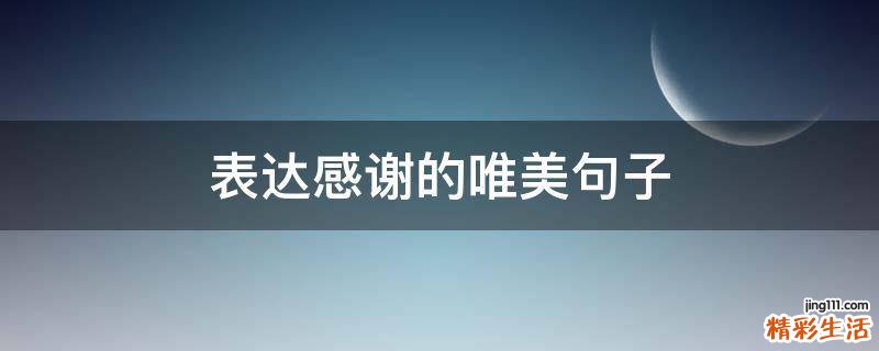 表达感谢的唯美句子
