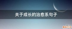 关于成长的治愈系句子