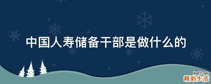 中国人寿储备干部是做什么的